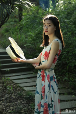 gogogo功能界面展示